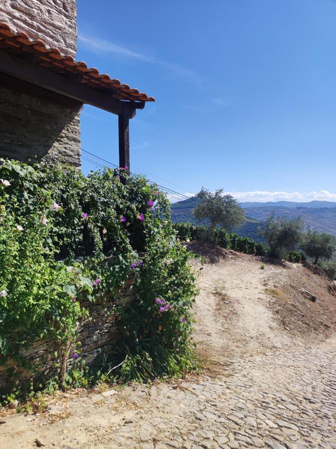 Encosta Do Pinhao Villa Casal de Loivos ภายนอก รูปภาพ